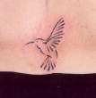 hummingbird.jpg