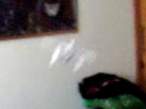 Stir2 let3 3d1sm.jpg