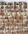 24998_Sarah_Jessie_-_Mommy_Got_Boobs_122_961lo.jpg