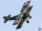 spad8.jpg