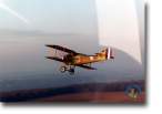spad12a.jpg