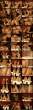 27918_14189_122_205lo.jpg