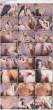 62228_Sandee_Westgate_4_Tera_Patrick_-_Brick_Wall_123_77lo.jpg