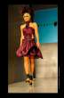 Miami Fashion Week 2009 Day 2 228VANA KORAB_full.jpeg