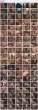 13875_KM_OVg_123_150lo.jpg