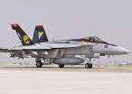 super-hornet-4.jpg