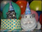 Happy_Birthday.jpg