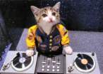 cat,dj,music.jpg