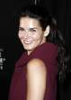 Angie Harmon 0024.jpg