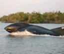 cool-boat4.jpg