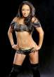 gail_kim_wwe_girl_8.jpg