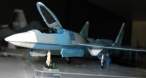 SU-41b.jpg