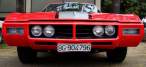 DSC08517.jpg