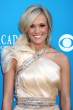 carrie_underwood_awards_dress_nice_7.jpg