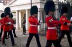 British Royal Guard.jpg