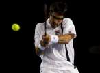 Janko-Tipsarevic063.jpg