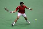 Janko-Tipsarevic160.jpg