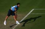 Janko-Tipsarevic165.jpg