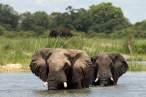 zambezi5.jpg
