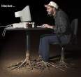 71hacker.jpg
