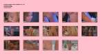 87826_Jennifer_Walcott_Highlight_Reel_1_123_840lo.jpg