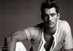 Gandy (31).jpg