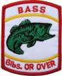 Bass 01.jpg