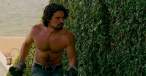 steven_strait15.jpg