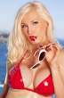 susan_wayland_red_shiny_7.jpg