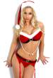 jenny_poussin_xmas_5.jpg