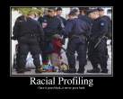 RacialProfiling.png