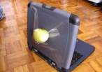 apple.jpg