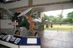 Curtiss Hawk III-Second View s.jpg