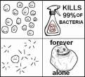 bacteria alone.jpg
