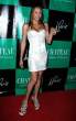 dania_ramirez_dress_11.jpg