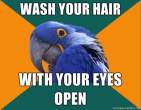 1296945826038_Paranoid_Parrot-s580x451-133408-580.jpg