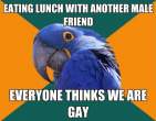 Lunch-with-a-friend-e1295129768964.jpg
