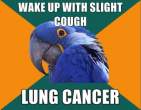 paranoid-parrot-meme-14.jpg