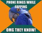 paranoid-parrot-meme-23.jpg