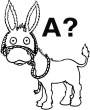 donkey.jpg