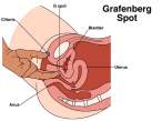 G-spot-2.jpg