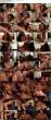 3984815_reg_dannicole-mp4fullhigh-1_tab.jpg