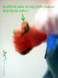 2SFsantaFig 10 r shm.jpg