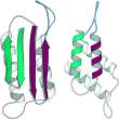 Prion structure.jpg