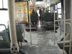 busplus4.jpg