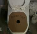 expert-mode-toilet.jpg