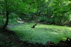 gorgeous_iranian_nature_photos_640_46.jpg