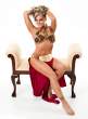 velvet_sky_princess_leia_2.jpg