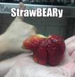 Strawbeary.jpg