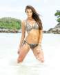 natasha_barnard_si_south_9.jpg